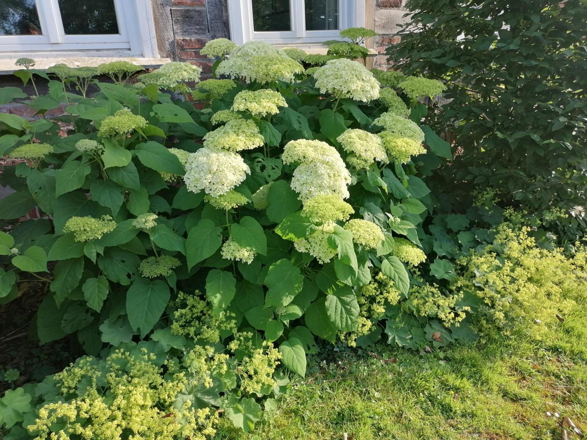 Kutscherstube Gutshof Fuerstenberg *